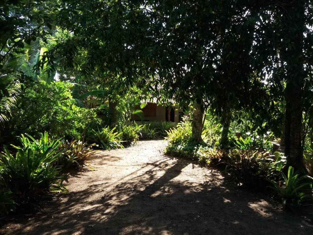 Vila Prosperidade Trancoso Exteriör bild
